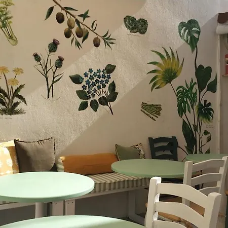 Homestay Gaja
