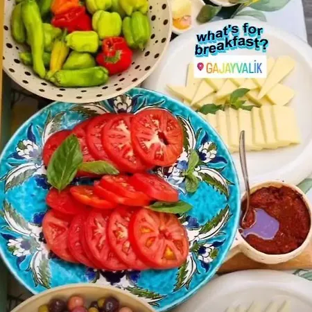 Gaja Ayvalik