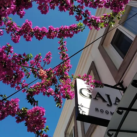 Accommodatie bij particulieren Gaja Ayvalı