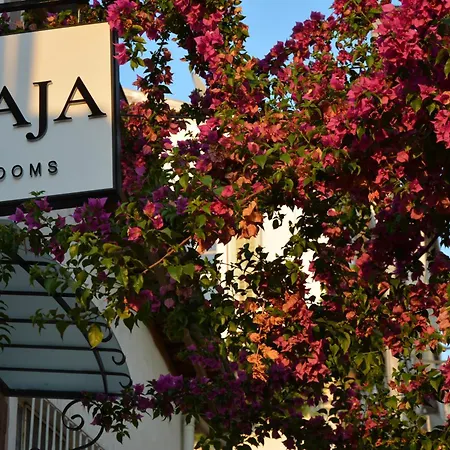 Homestay Gaja Ayvalik