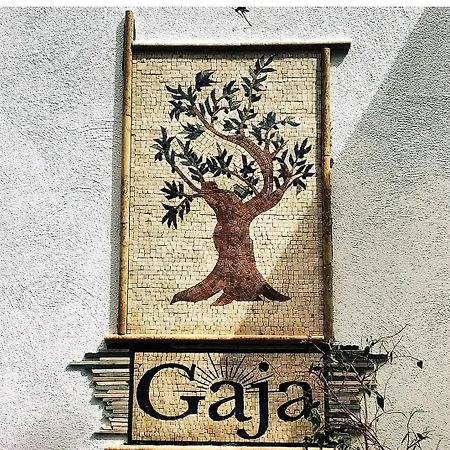Gaja