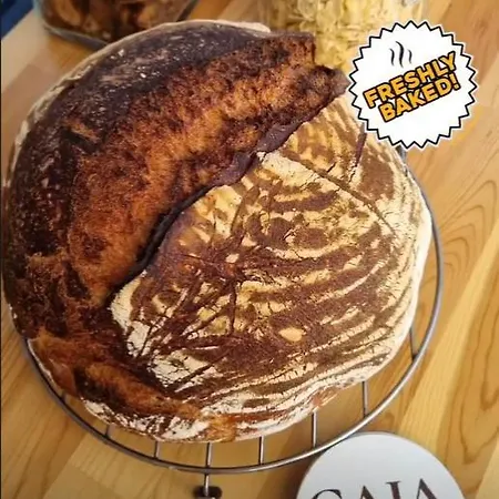 Gaja Privatunterkunft Ayvalı