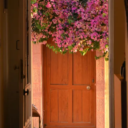 Privatunterkunft Gaja Ayvalı