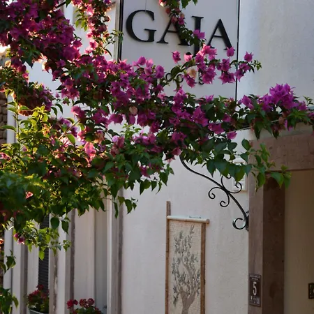 Kwatera prywatna Gaja
