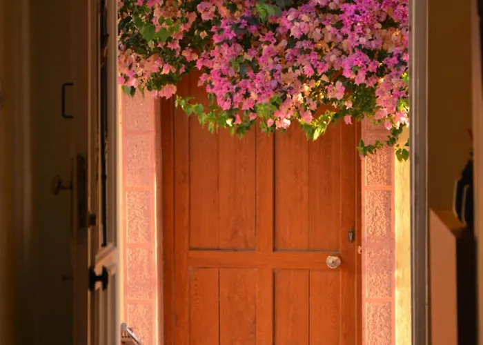 Homestay Gaja Ayvalik