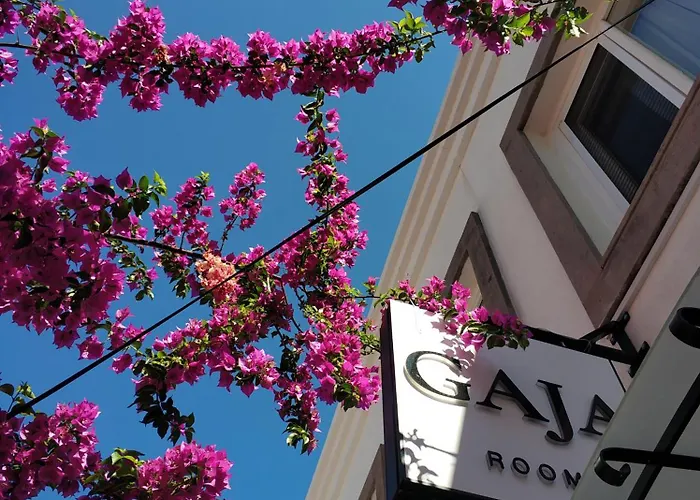 홈스테이 Gaja Ayvalı